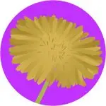 Dandelion Small Icon