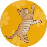 Pets June 2025 Small Icon