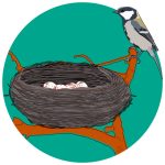 Egg March 2026 Square