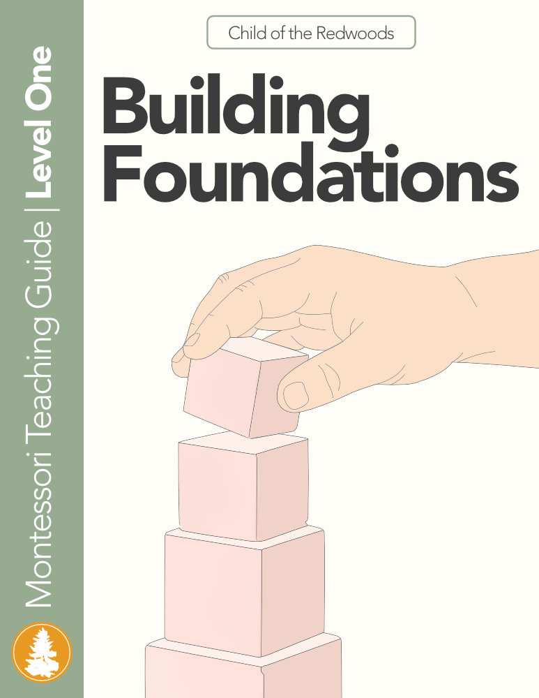 Level 1 Foundations Lessons and Activities Icon