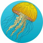 Jellyfish August 2026 Square